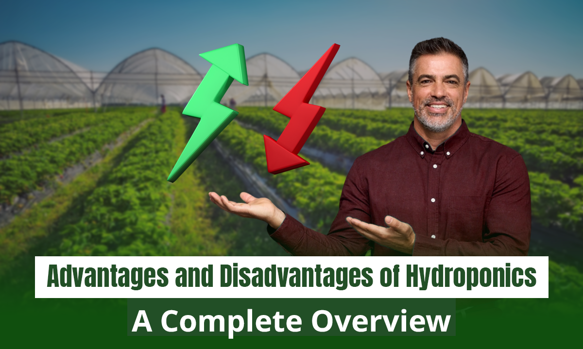 Advantages and Disadvantages of Hydroponics Farming: A Complete Overview | GetFarms Blog