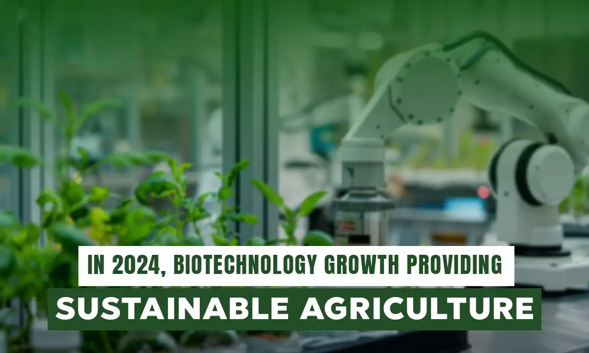 The Future of Farming: Biotechnology’s Key Role in Sustainable Agriculture 2024