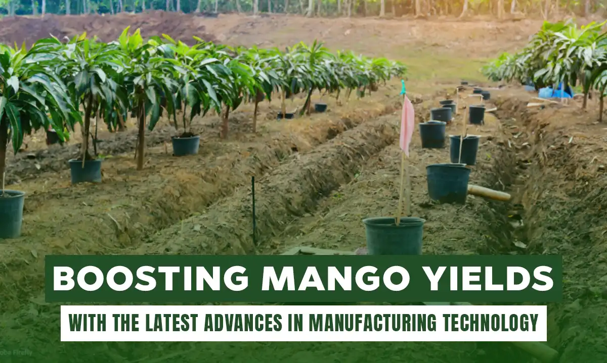 Boosting Mango Yields with the latest Advances in Manufacturing Technology