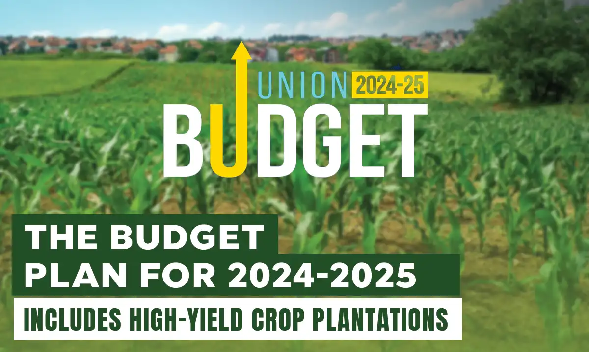 2024-2025 Budget Plan: Boosting High-Yield Crop Plantations for Future Growth