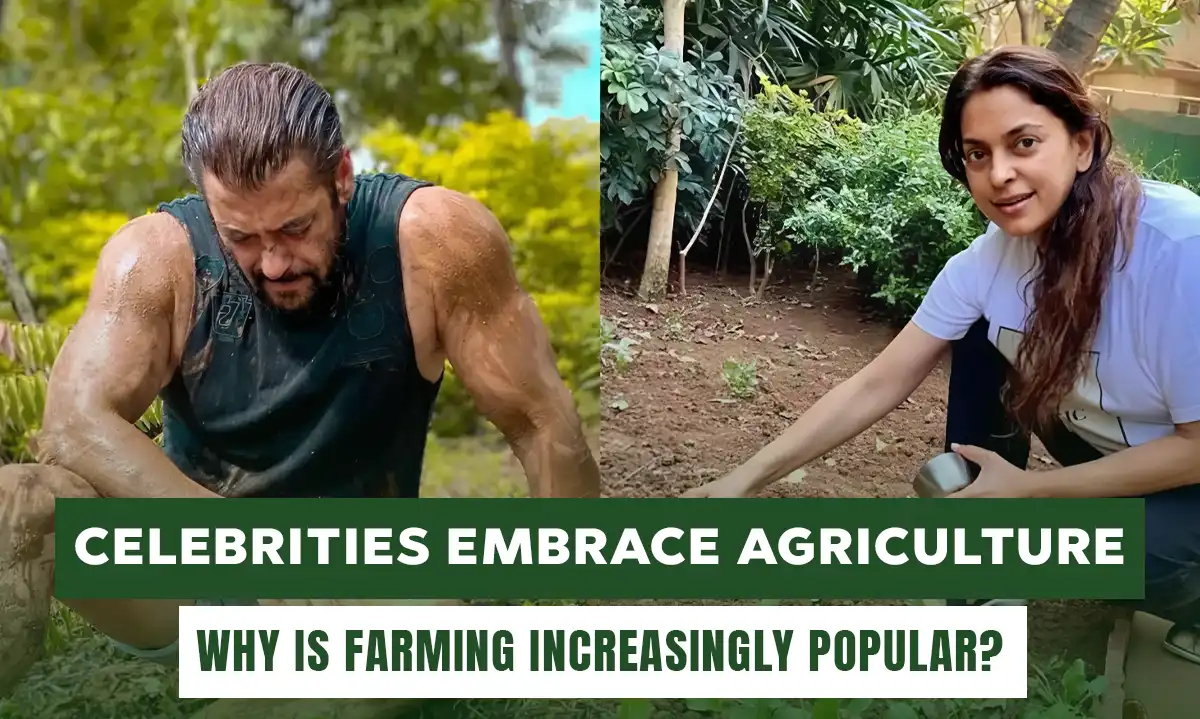 Why Celebrities Are Embracing Agriculture: The Rise of Modern Farming