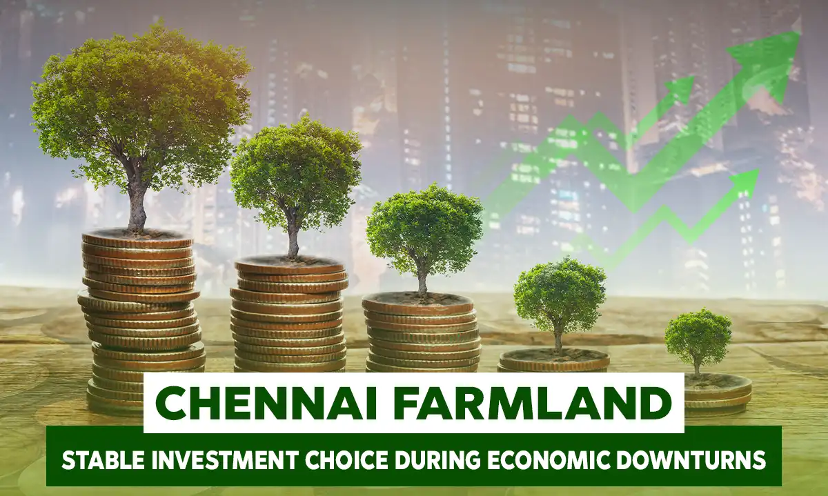  Chennai Farmland