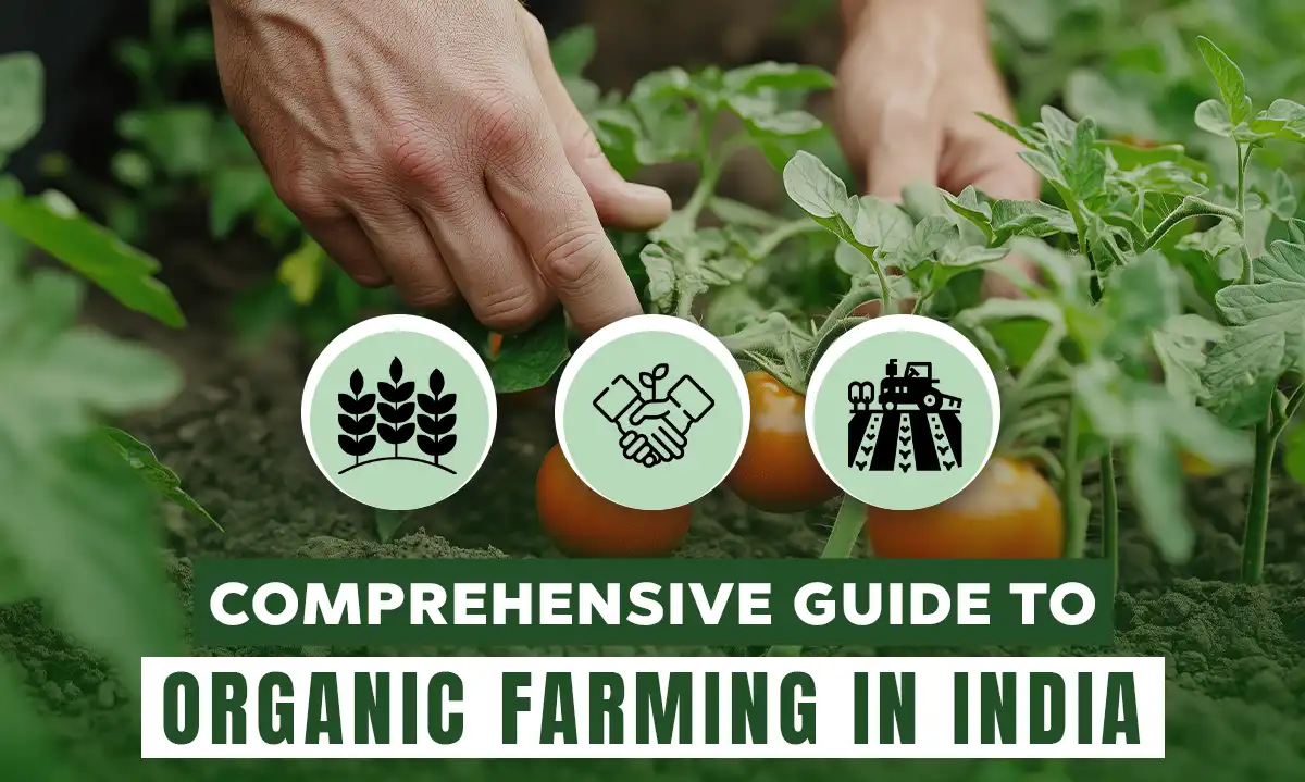 Ultimate Guide to Organic Farming in India: Practices, Benefits & More