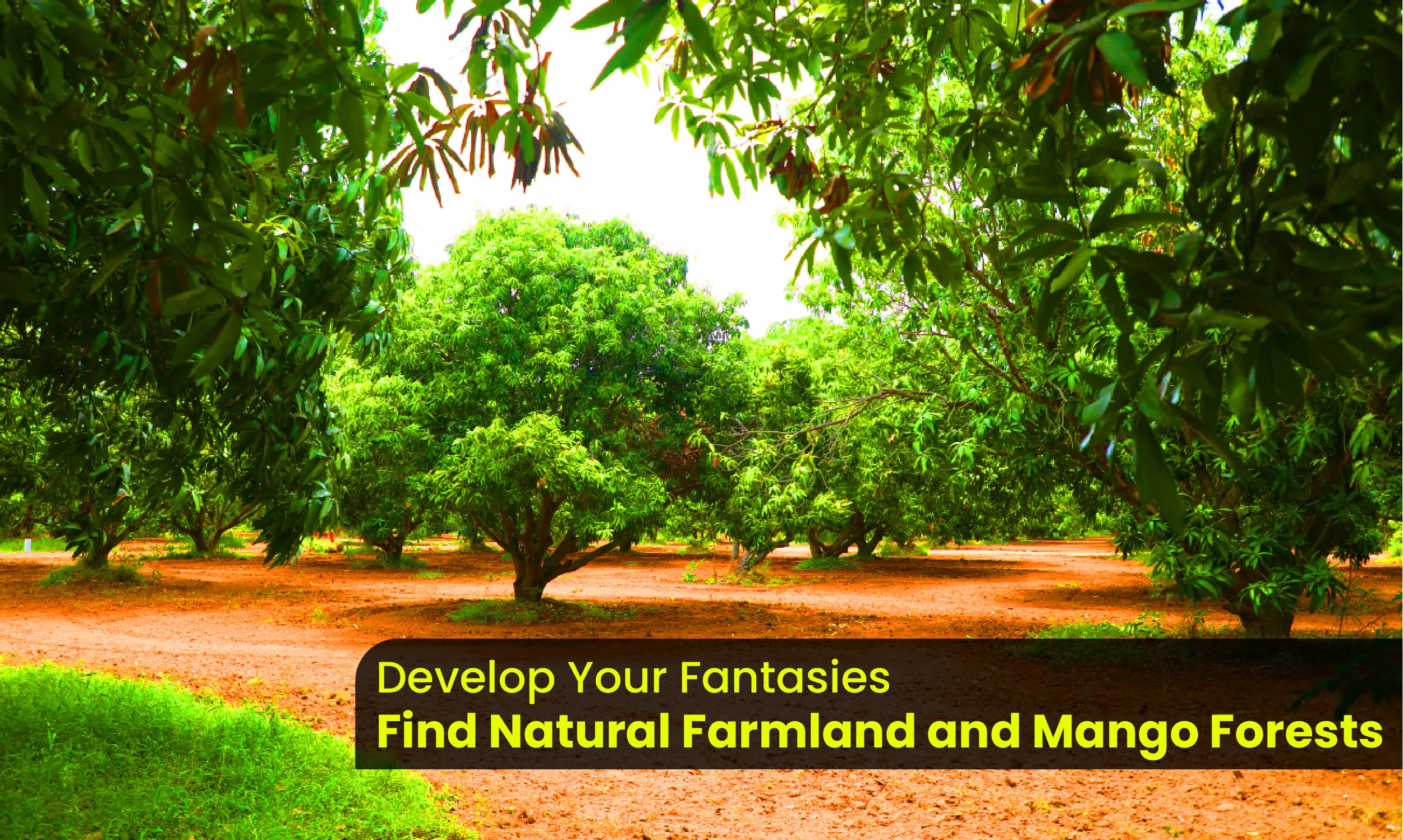 Develop your fantasies by discovering natural farmland and mango forests