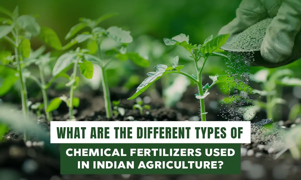 What are the different types of chemical fertilizers used in Indian agriculture?