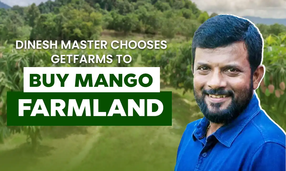 Dinesh Master’s Journey: Buying Mango Farmland with GetFarms