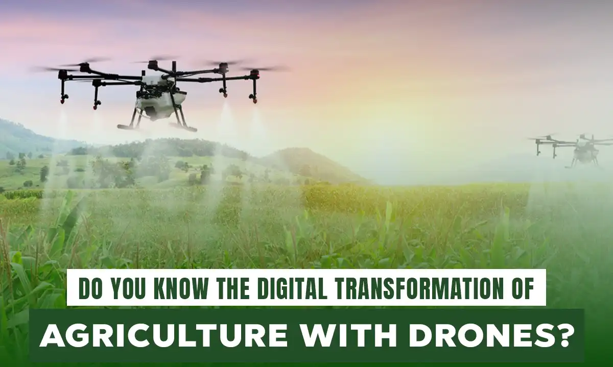 Do you know the Digital Transformation of Agriculture with Drones?