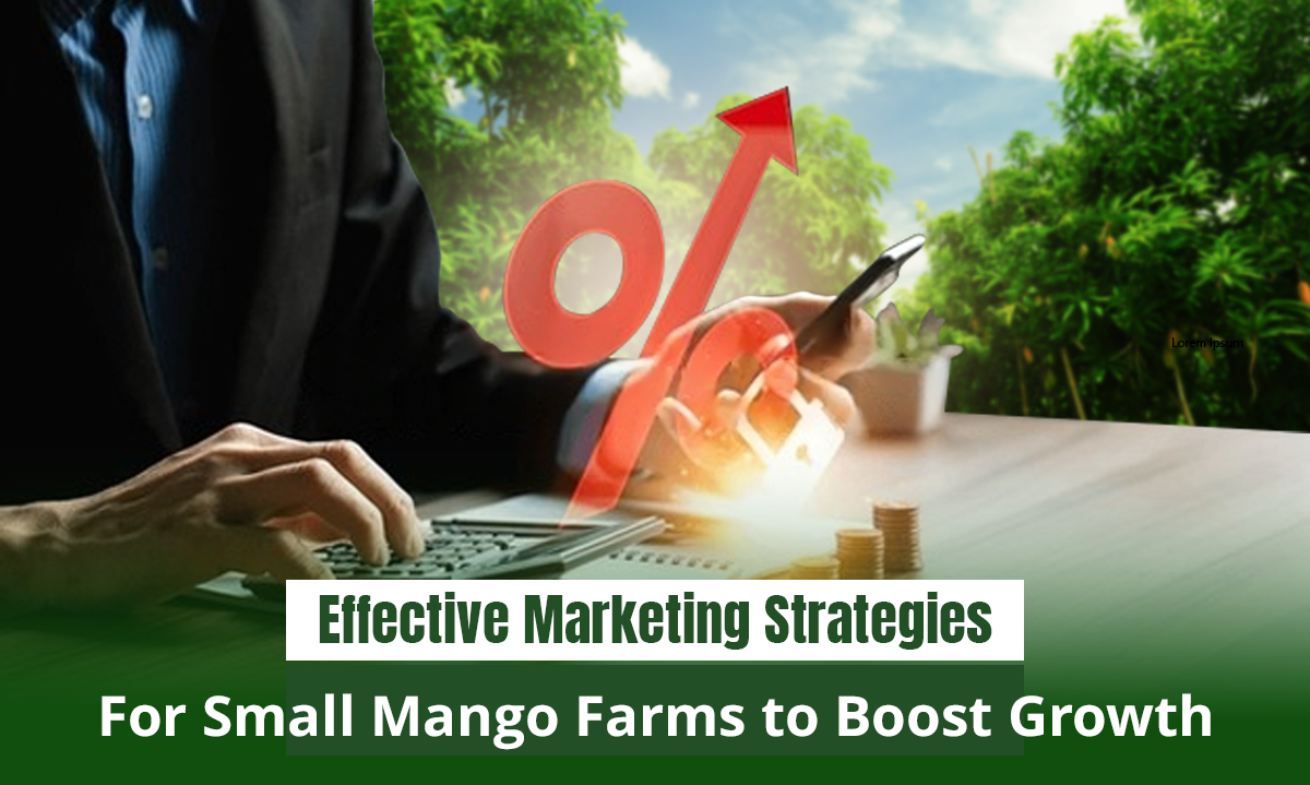 Effective Marketing Strategies for Small Mango Farms to Boost Growth