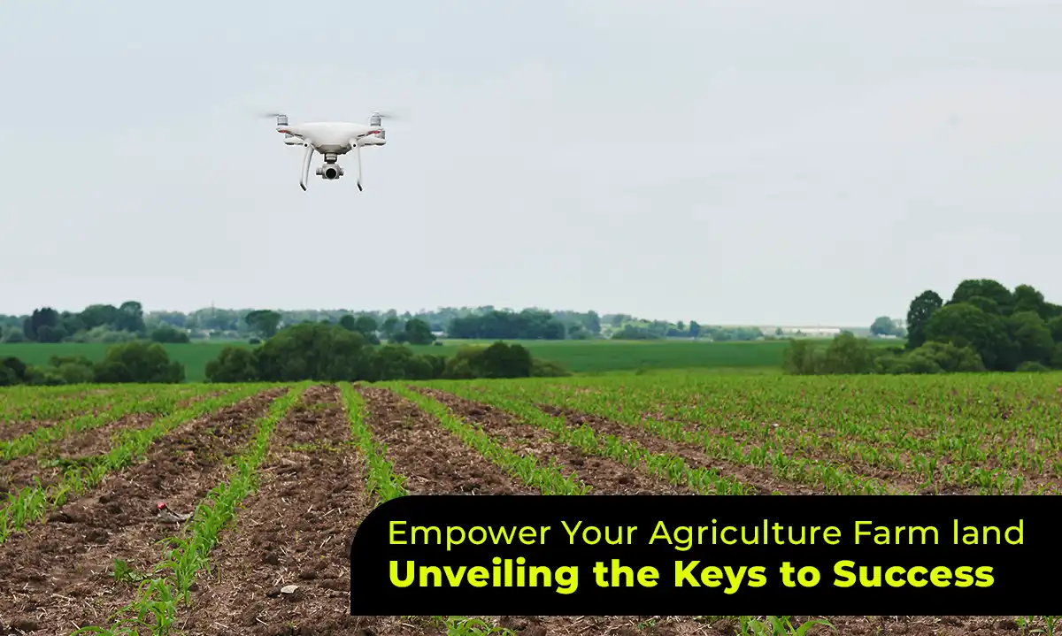 Success Strategies for Your Agriculture Farmland | GetFarms Blog