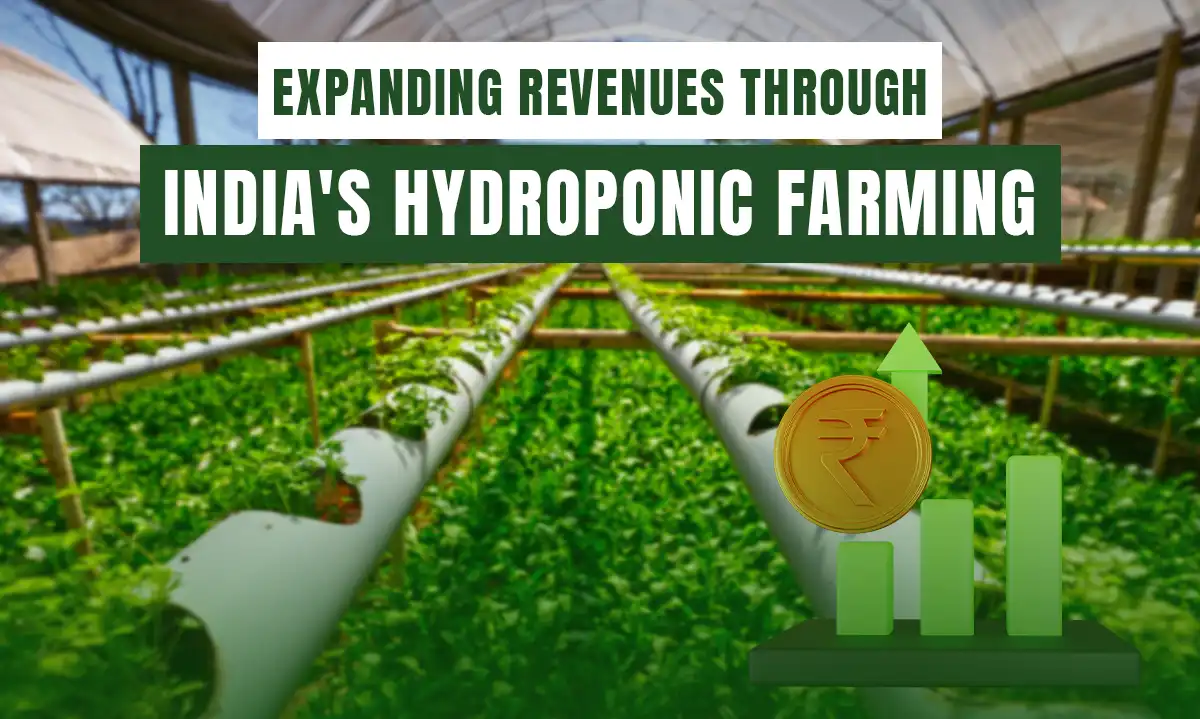  Expanding Revenues through India's Hydroponic Farming