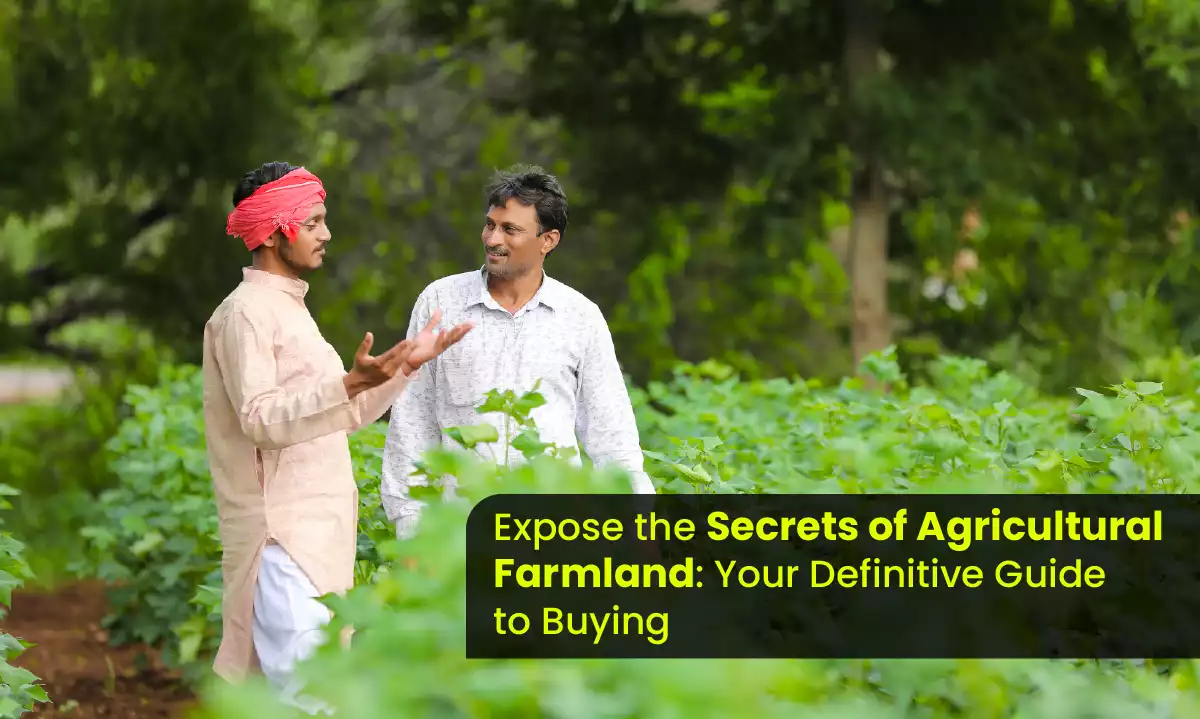 Expose the Secrets of Agricultural Farmland: Your Definitive Guide to Buying