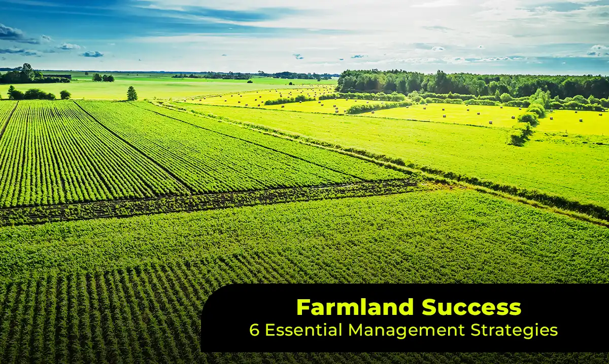 Farmland Success: 6 Essential Management Strategies