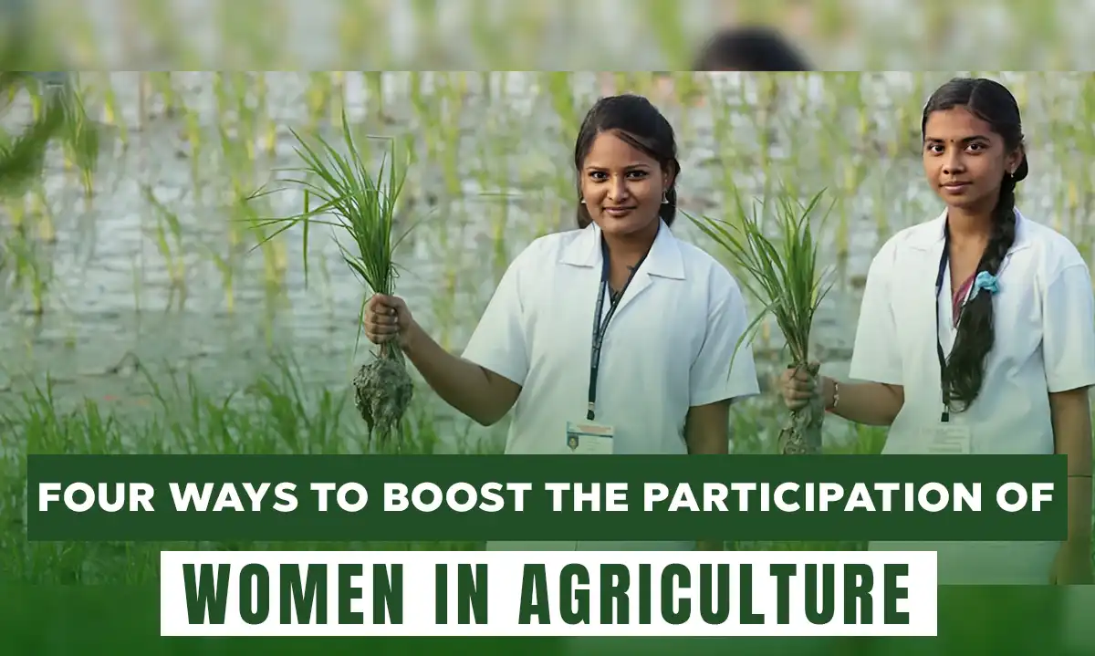 Four ways to boost the participation of women in agriculture