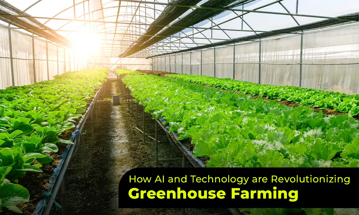 AI and Technology Revolutionizing Greenhouse Farming