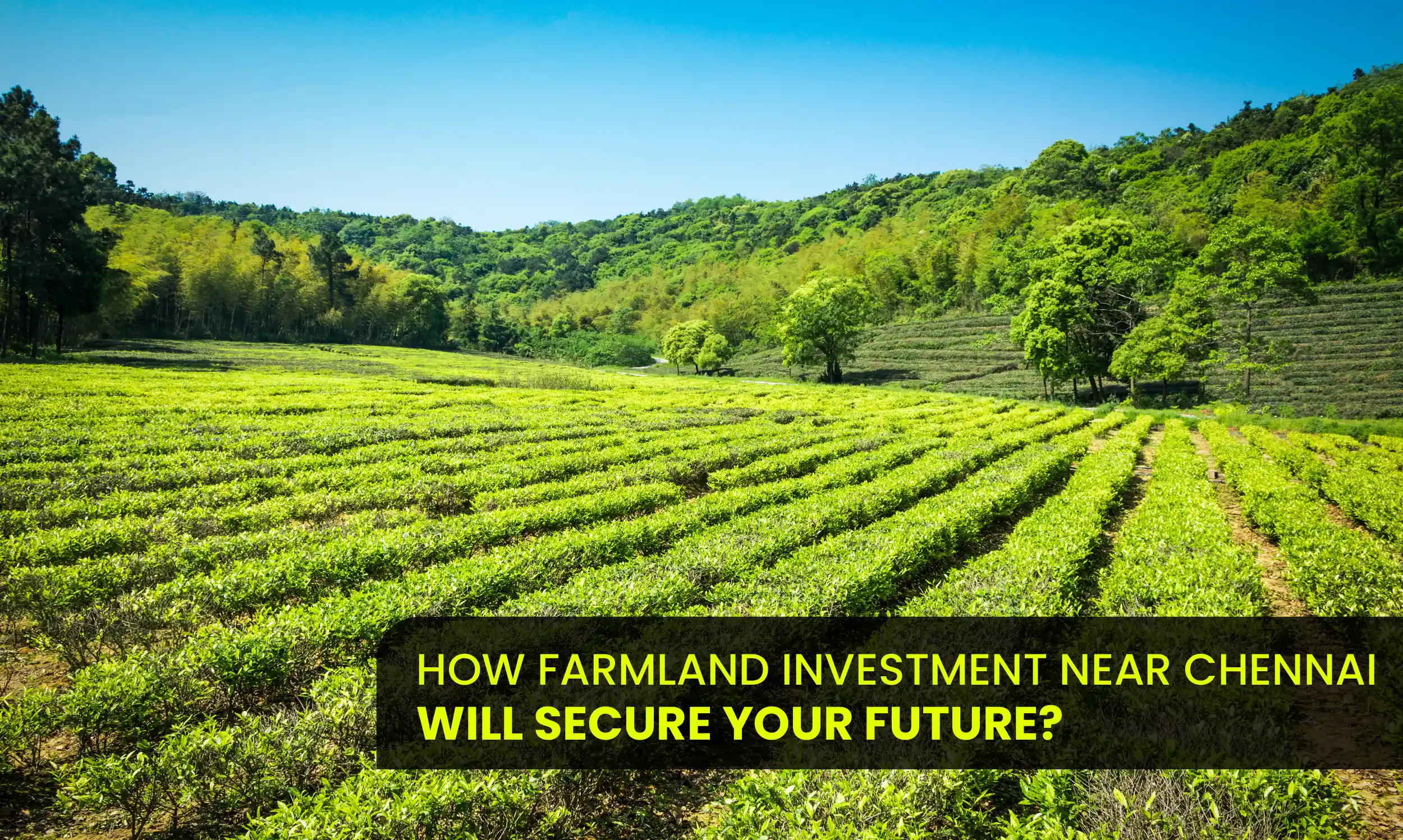 Secure Your Future with Farmland Investment Near Chennai
