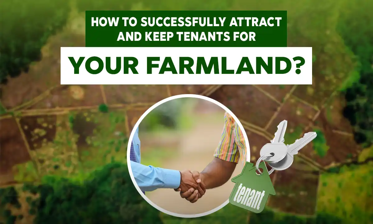  Invest in Premium Mango Farmland at GetFarms