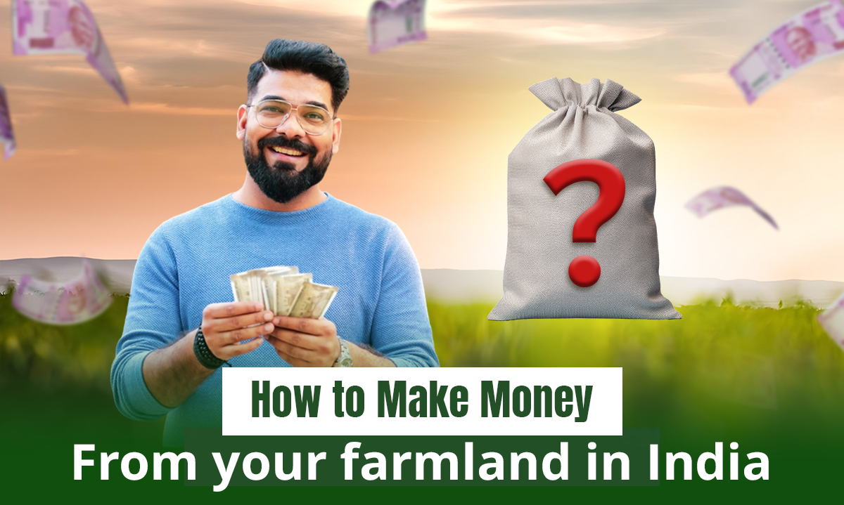 How to Make Money from your farmland in India | Getfarms Blog