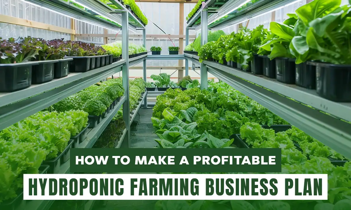 How to Make a Profitable Hydroponic Farming Business Plan | Getfarms Blog