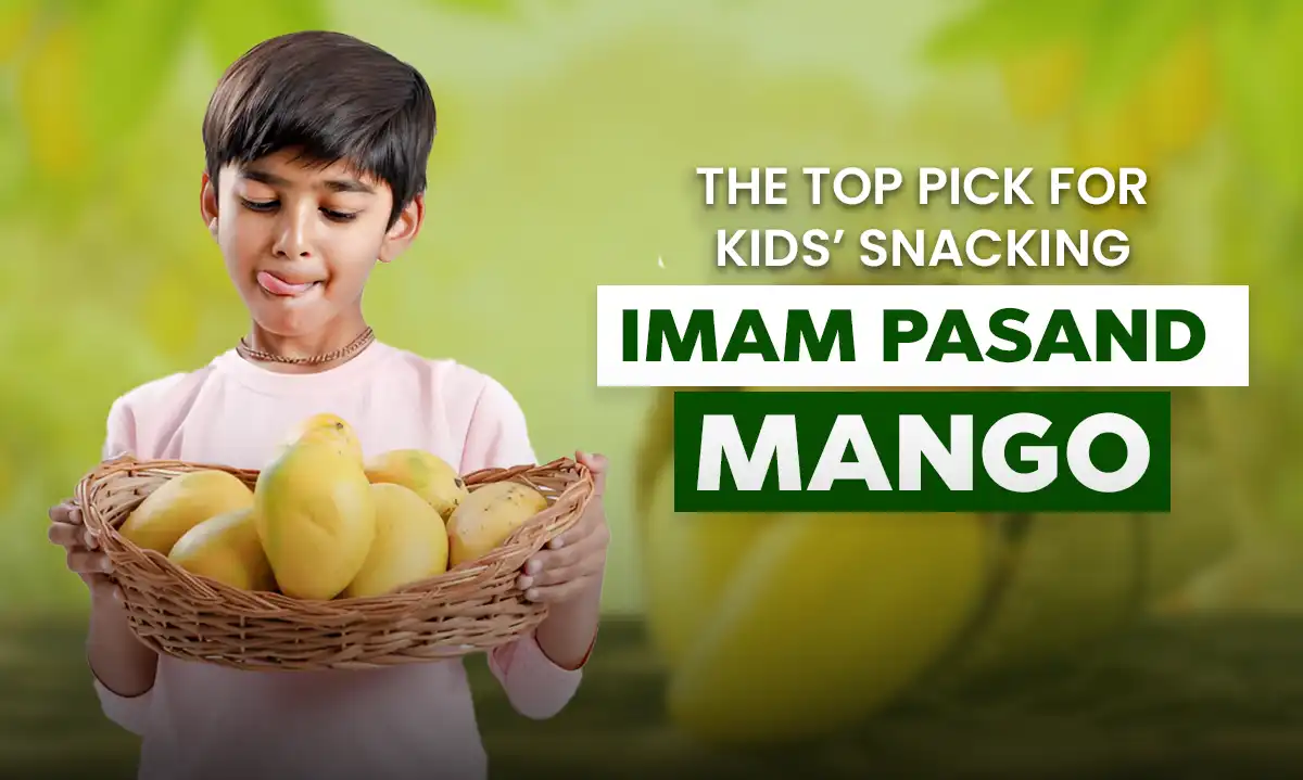 Imam Pasand Mangoes