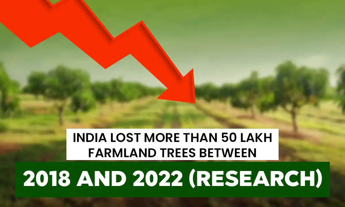 India Lost 5 Million Farmland Trees from 2018 to 2022 | Getfarms Blog