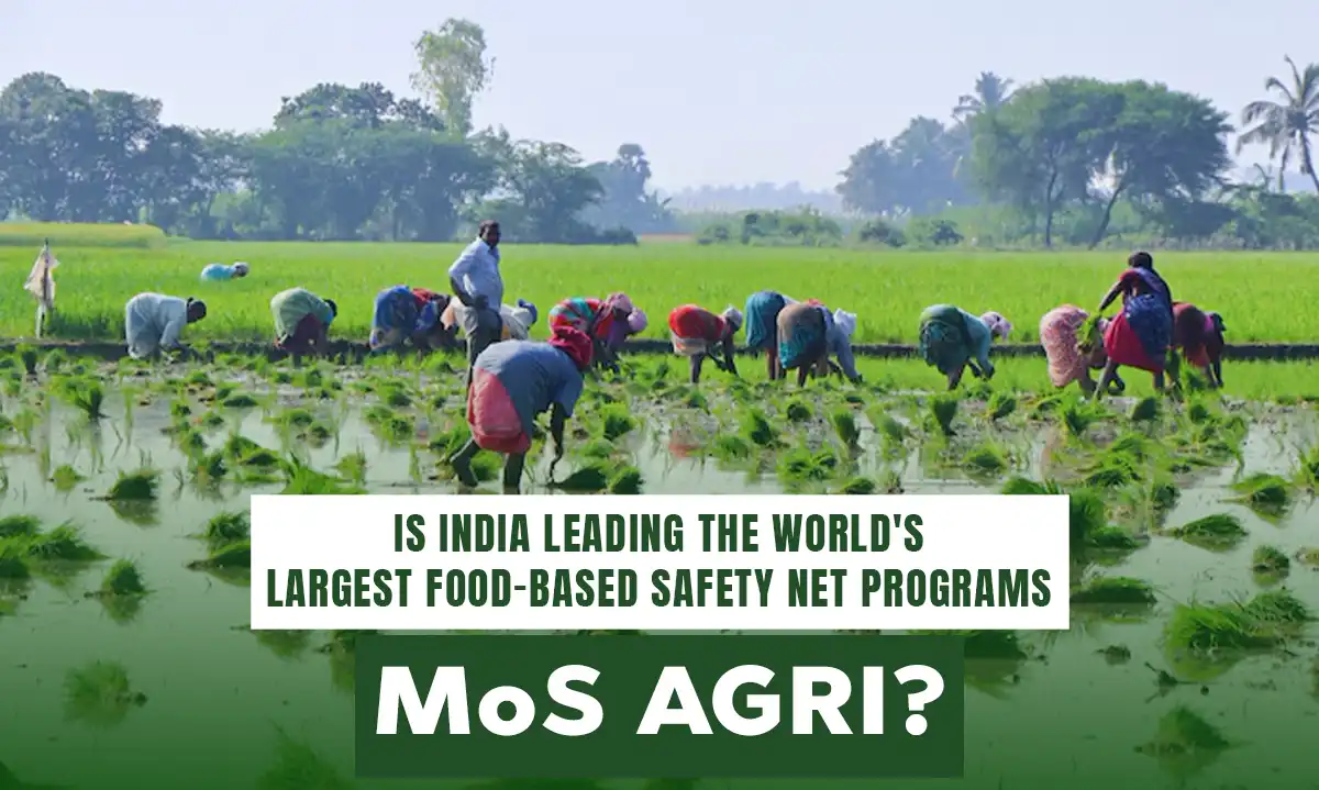 India's Role in the World's Largest Food Safety Net Programs