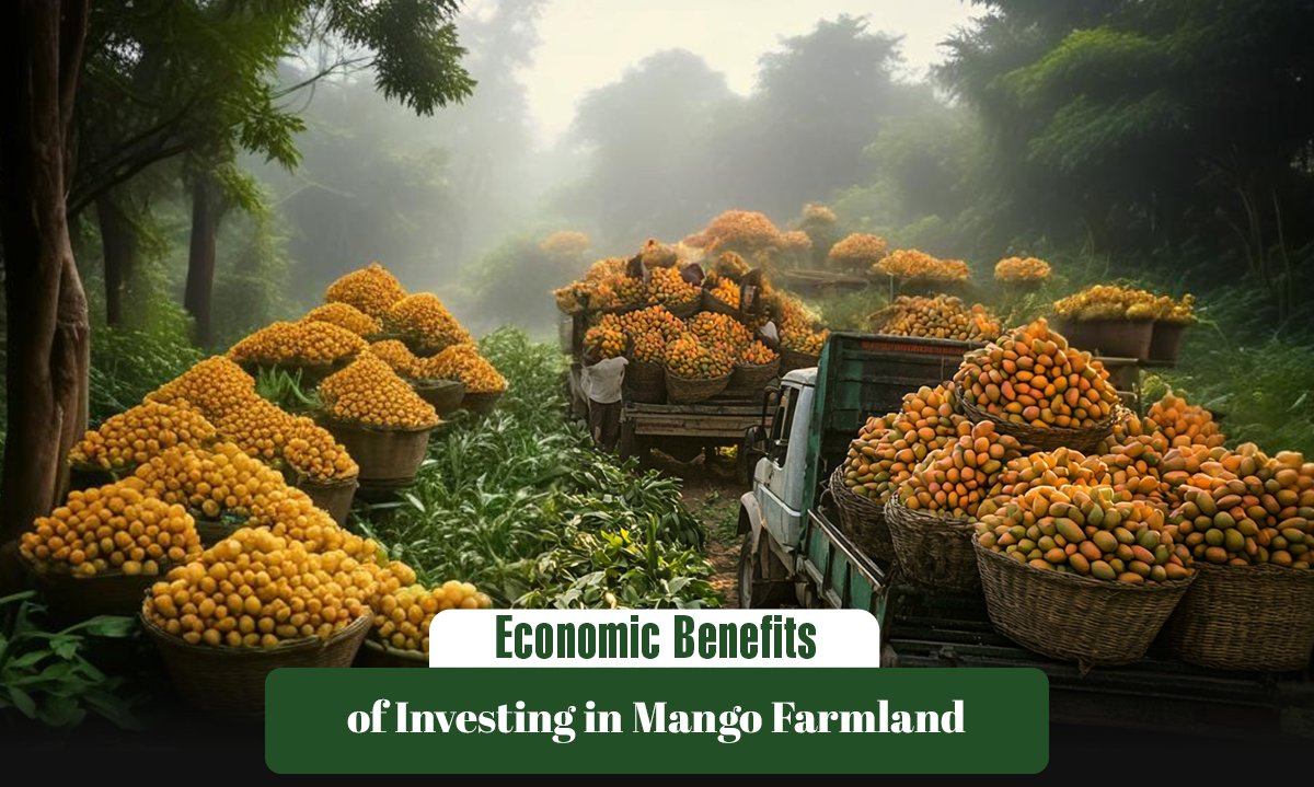 Economic Benefits of Investing in Mango Farmland