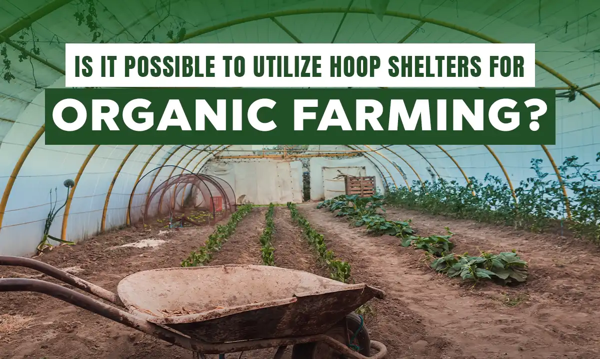 Benefits of Using Hoop Shelters in Sustainable Organic Farming