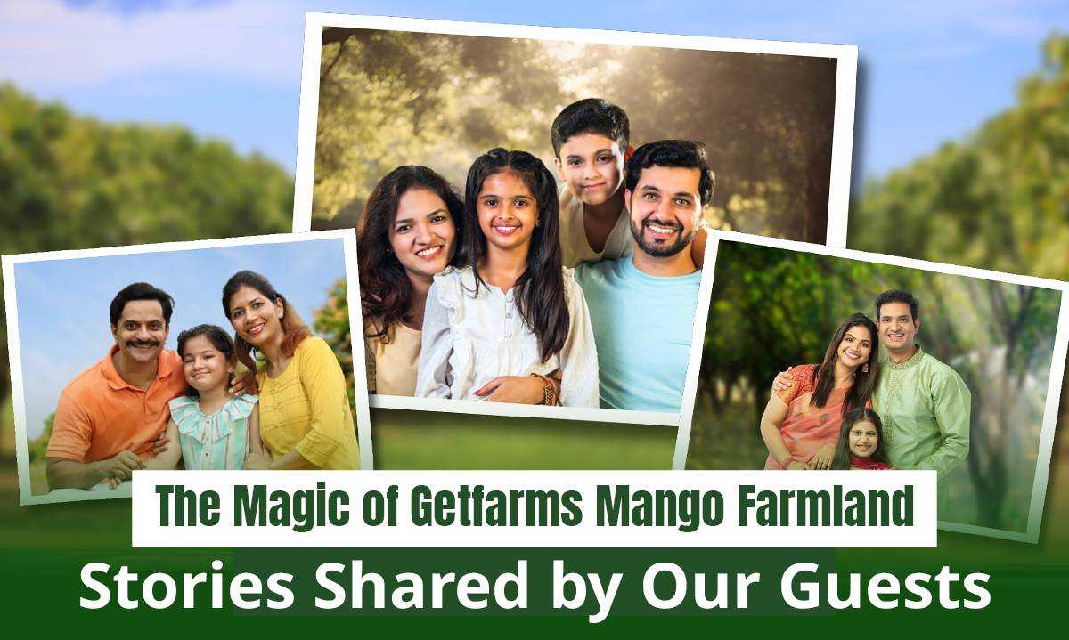 The Magic of Getfarms Mango Farmland: Stories Shared by Our Guests | GetFarms Blog