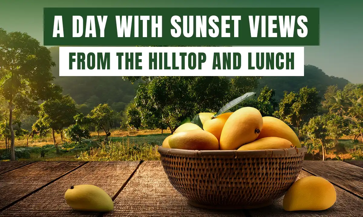 Mango Farm: A Day start with Sunset Views and Having Lunch