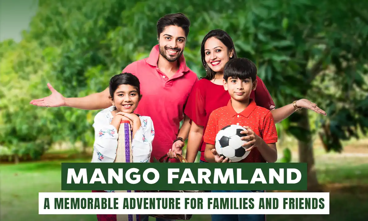 Mango Farmland: An Unforgettable Experience for Friends and Families