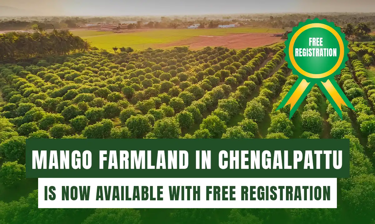 Mango Farmland in Chengalpattu is now available with free registration