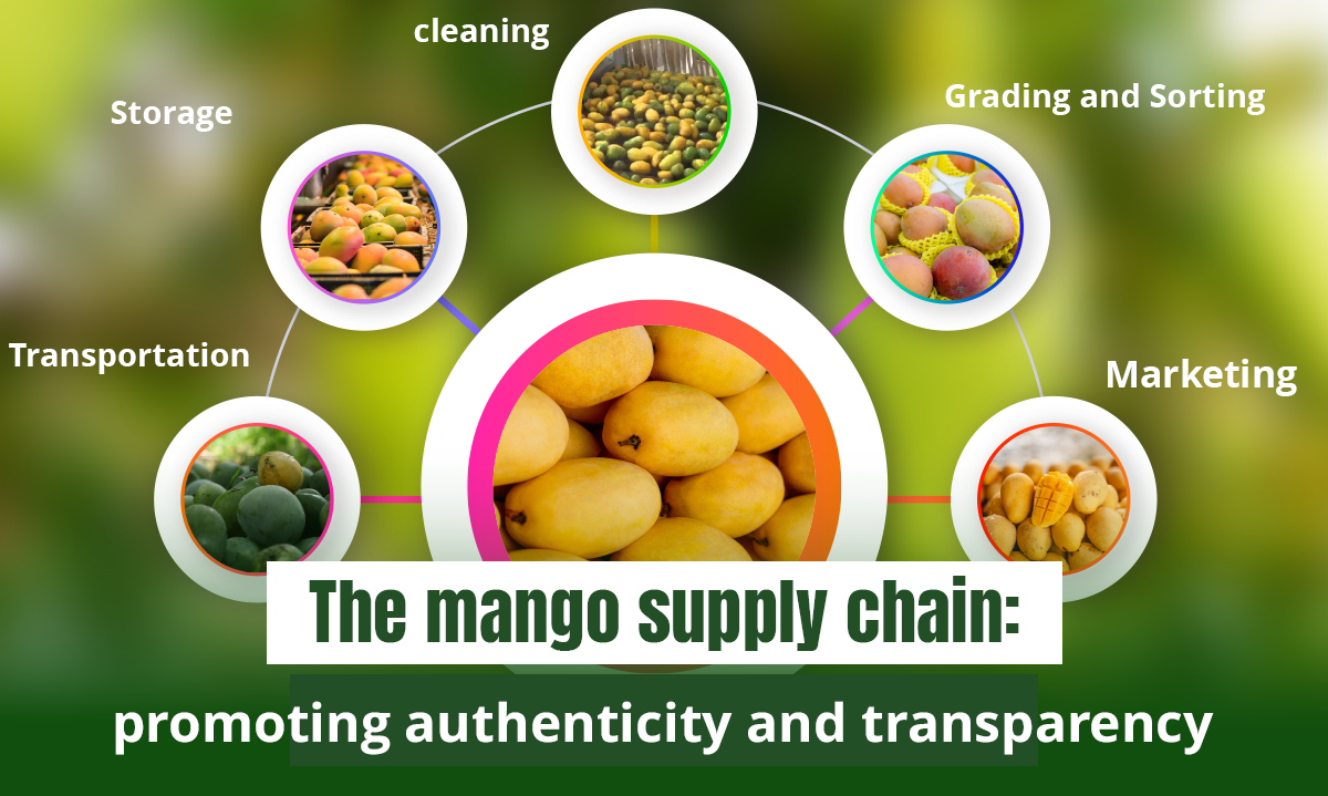 The Mango Supply Chain: Promoting Authenticity and Transparency