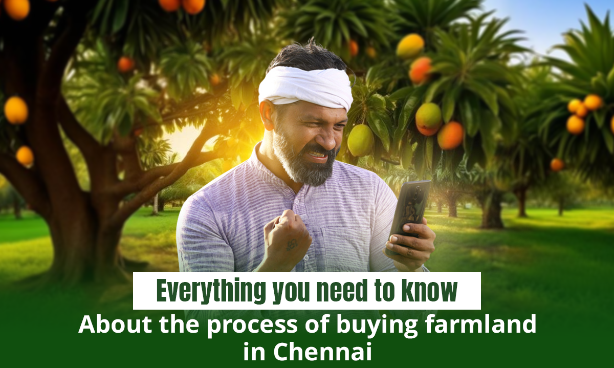 Everything you need to know about the process of buying farmland in Chennai