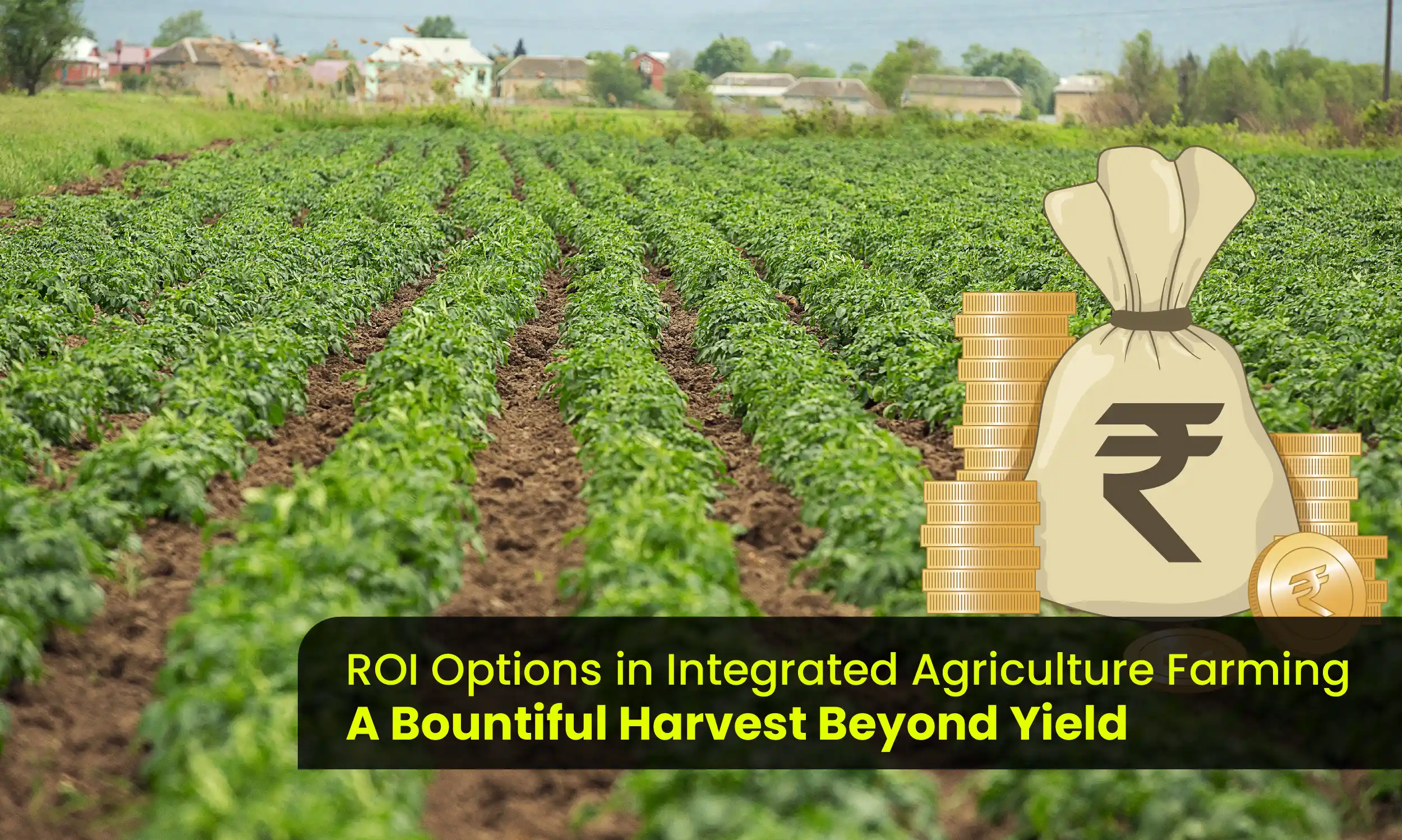ROI Options in Integrated Agriculture Farming: A Bountiful Harvest Beyond Yield