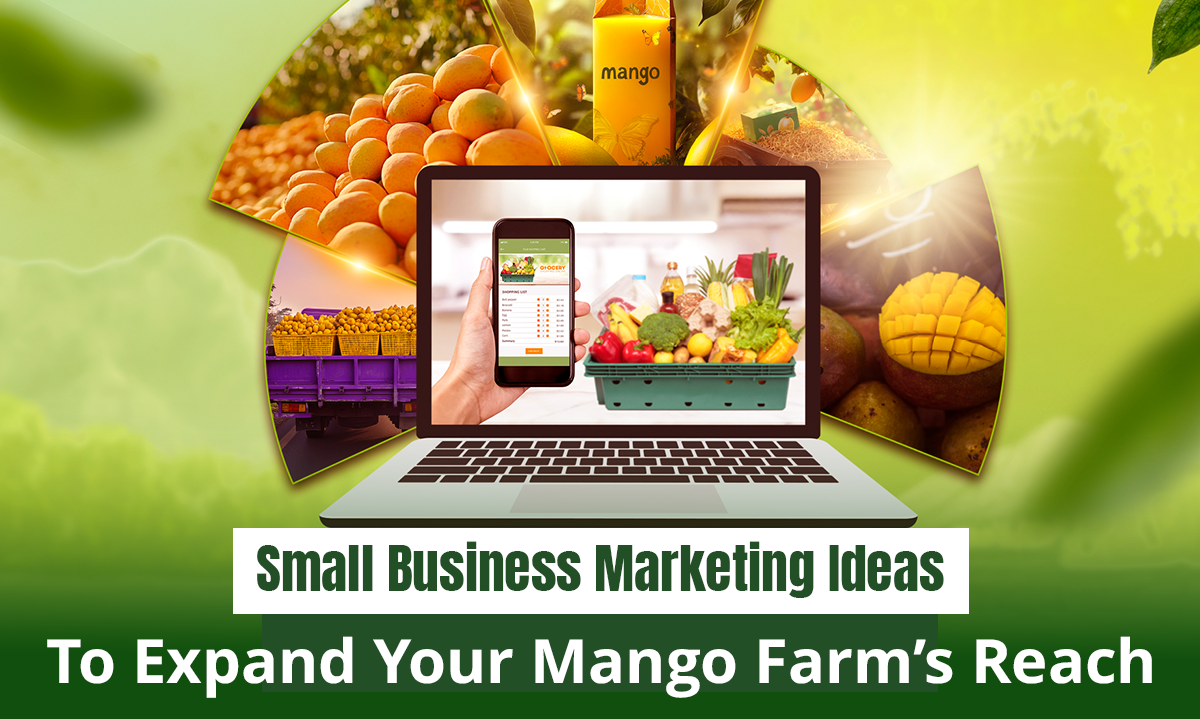 Small Business Marketing Ideas to Expand Your Mango Farm’s Reach | Getfarms Blog