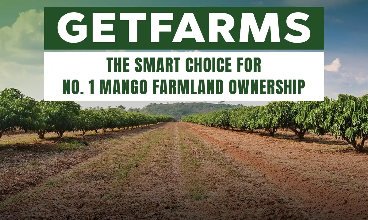 Smart Choice for No. 1 Mango Farmland Ownership