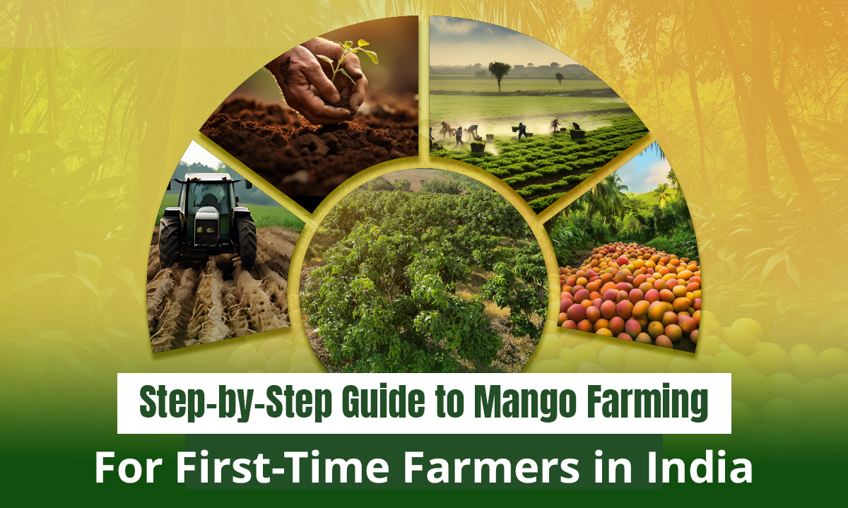 Step-by-Step Guide to Mango Farming for First-Time Farmers in India | Getfarms Blog