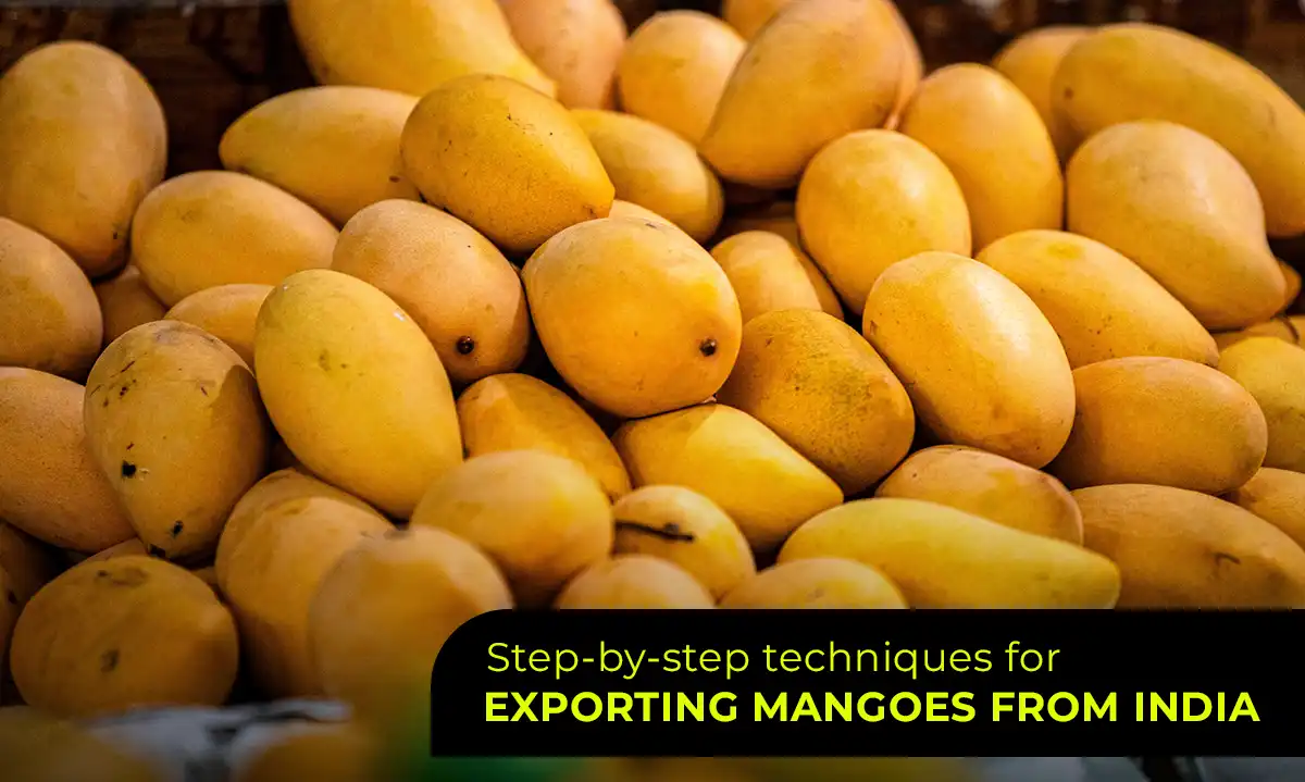 Mangoes in Chennai
