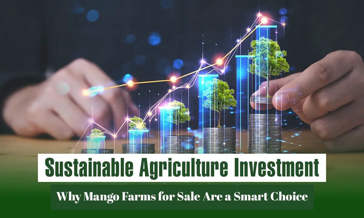 Sustainable Agriculture Investment and Mango Farms for Sale