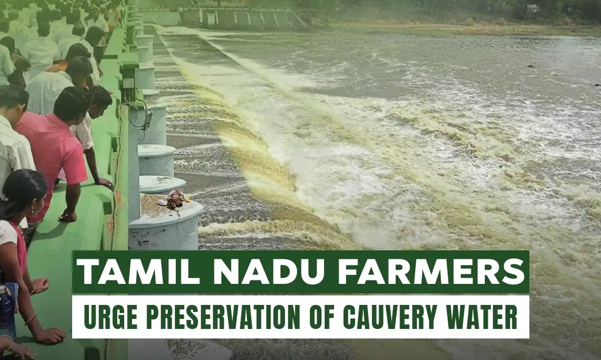 Maximizing Cauvery Water Storage: Tamil Nadu Farmers Demand Urgent Action