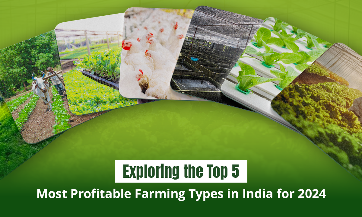 Exploring the Top 5 Most Profitable Farming Types in India for 2024