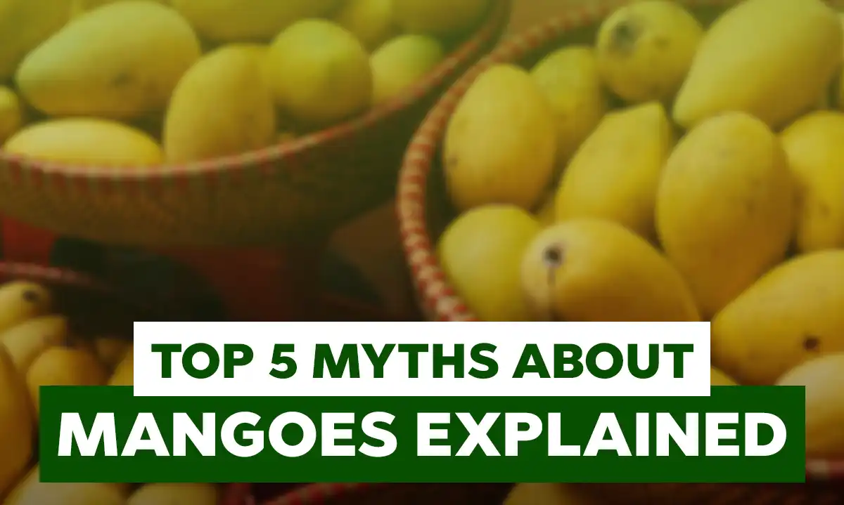 Top Five Mango Myths and the Real Facts