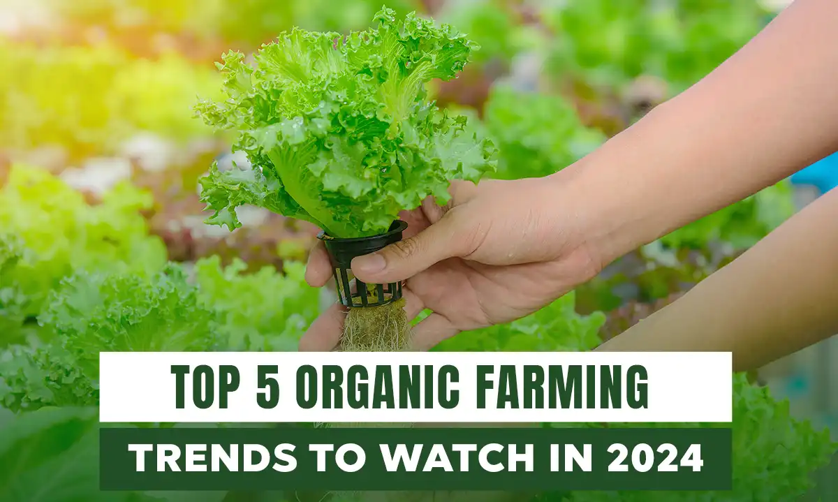 Top 5 Organic Farming Trends to Watch in 2024 | Getfarms Blog