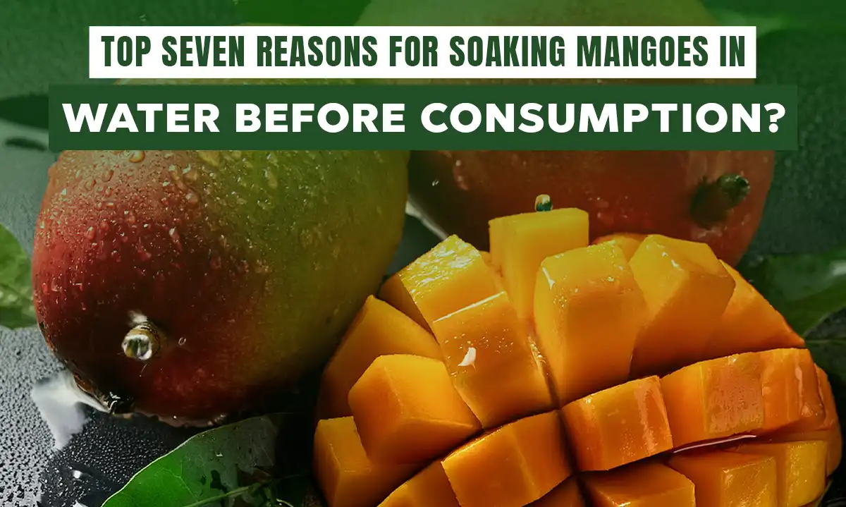 Top Seven Reasons for Soaking Mangoes in Water Before Consumption