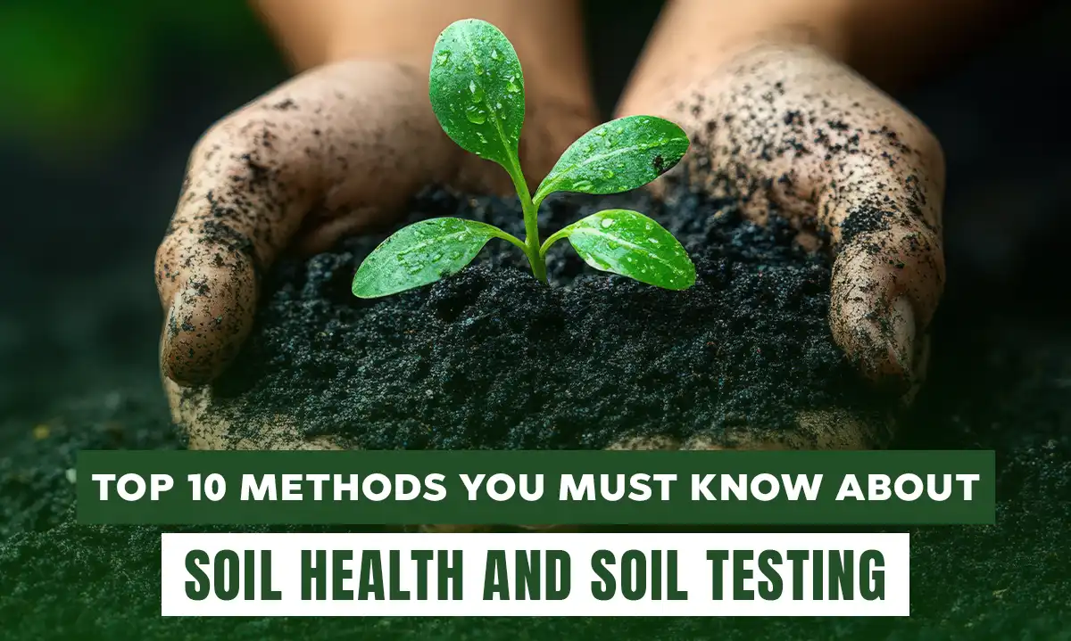 Top 10 Methods You Must Know About Soil Health and Soil Testing