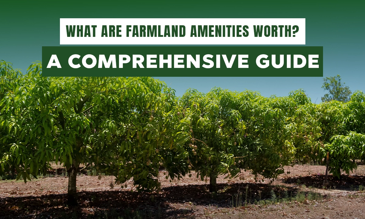 What Are Farmland Amenities Worth? A Comprehensive Guide at Getfarms Blog