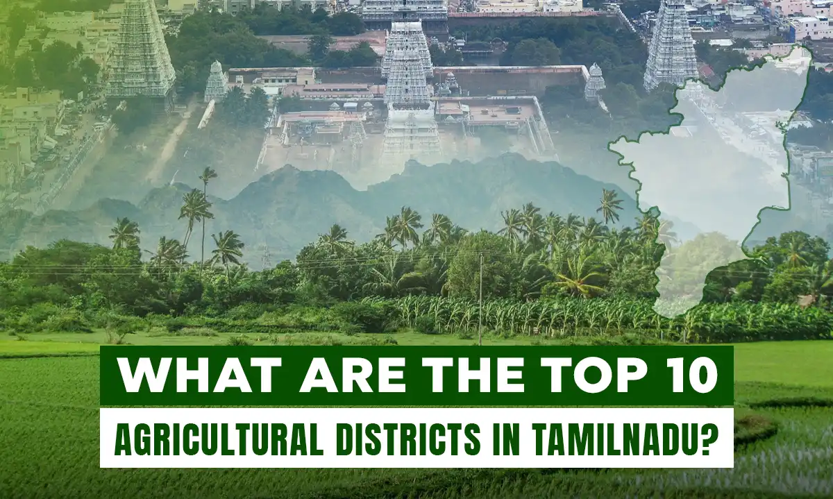 Top 10 Agricultural Districts in Tamil Nadu