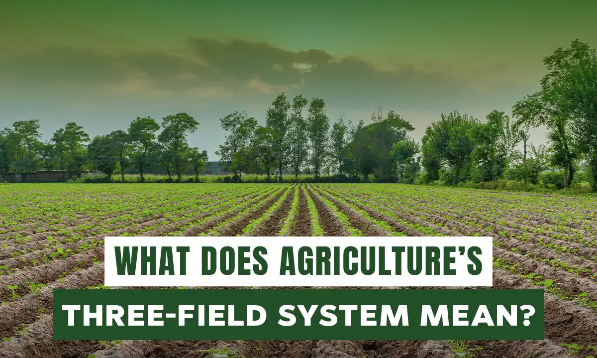 What Does Agriculture's Three-Field System Mean? | Agricultural Practices Explored