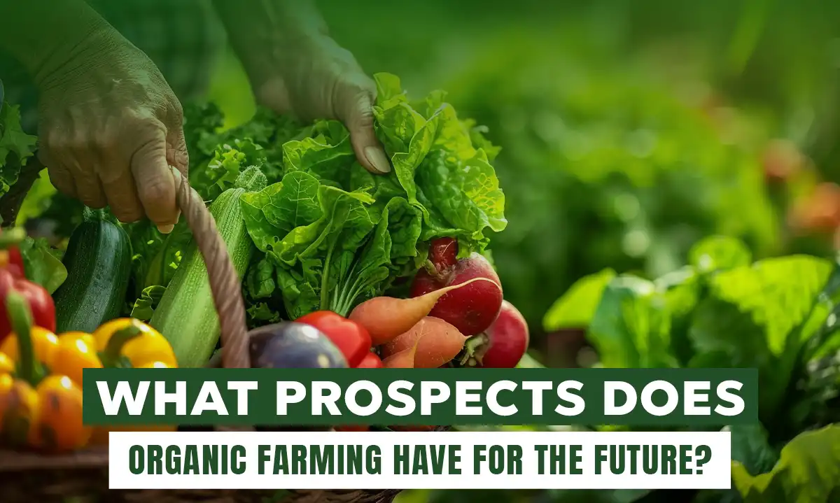 What prospects does organic farming have for the future?