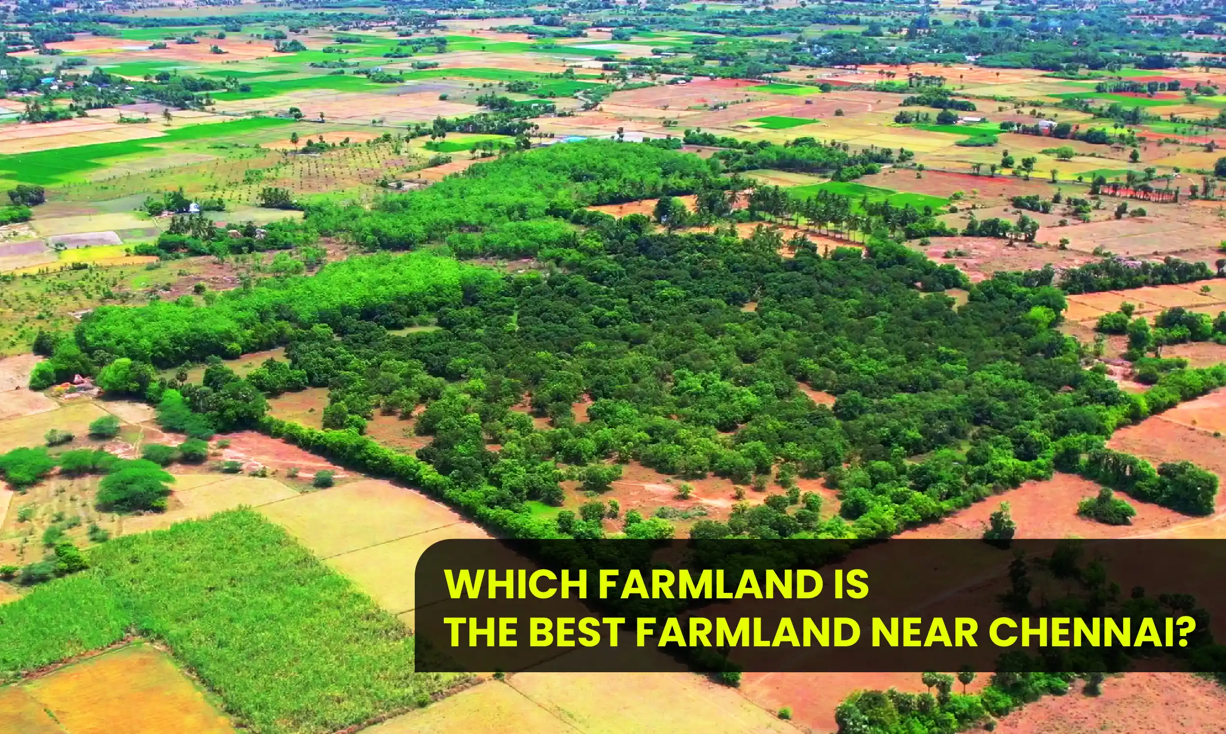 Best Farmland Near Chennai